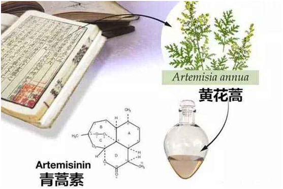 KY平台,KY平台(中国)：向中医药看齐，与世界共享中医药文化(图1)